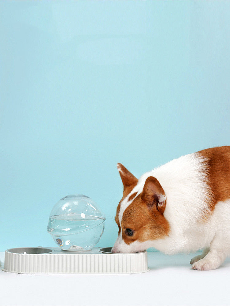 Automatic Feeder Drinking Pet Bowl