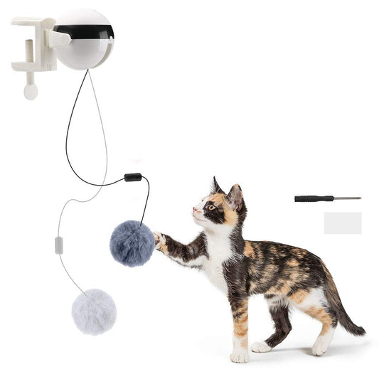 Pets/Cats/Dogs Automatic Lifting Motion Teaser Ball