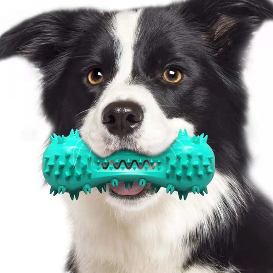 Pet/Dog Cleaning Chew Toy