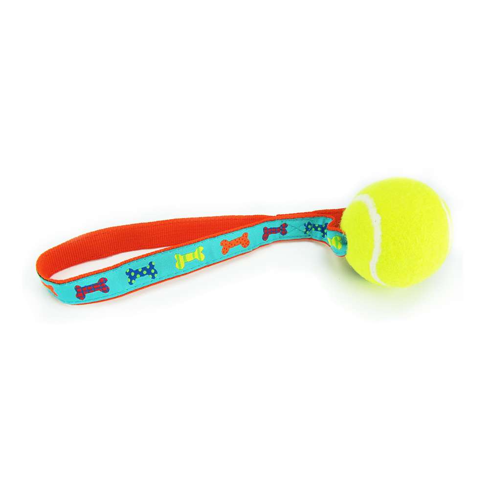 Party Bones - Tennis Ball Toss Toy