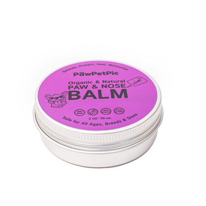 Dog Paw Balm with Shea Butter and Coconut Oil