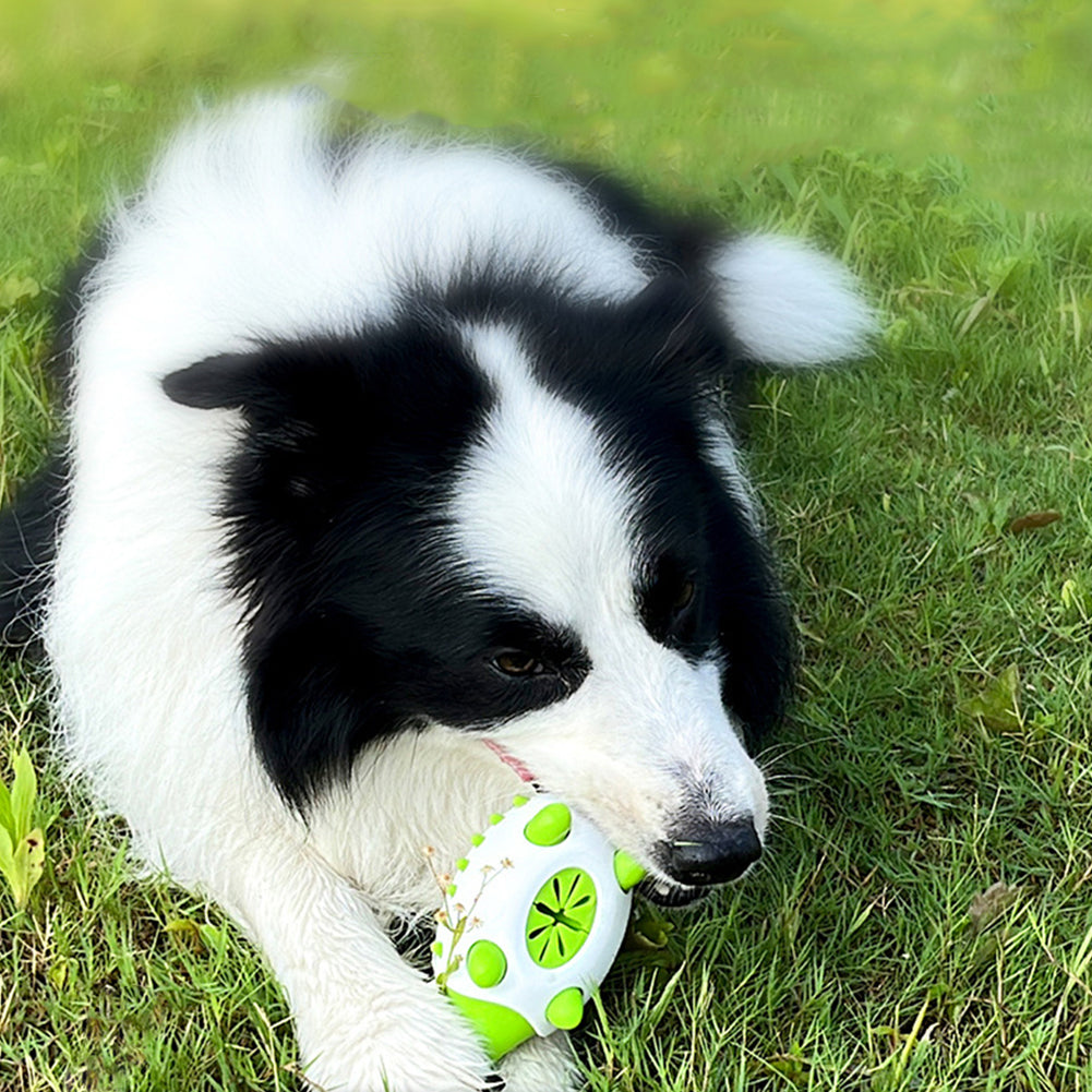 Phedgehog Shape Dog Toy