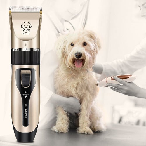 Pet shaving outlet kit